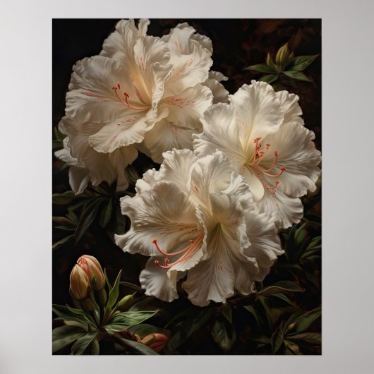 Poster de l'Art blanc Azalea Fleurs (Devant)
