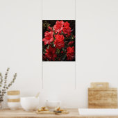 Poster de l'art des fleurs d'Azalea rouge (Cuisine)