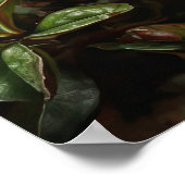 Poster de l'art des fleurs d'Azalea rouge (Coin)