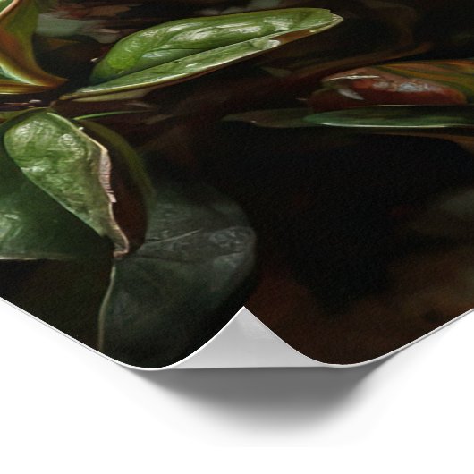 Poster de l'art des fleurs d'Azalea rouge (Coin)