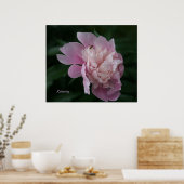 Poster de l'Art Framical Relativité (Cuisine)