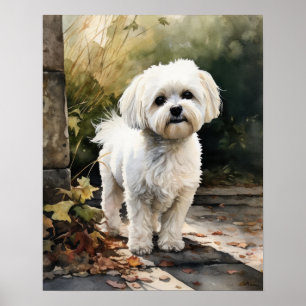 Poster de l'art mignon de chien maltais