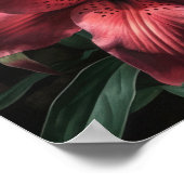 Poster de l'art Pink Lily Flowers (Coin)