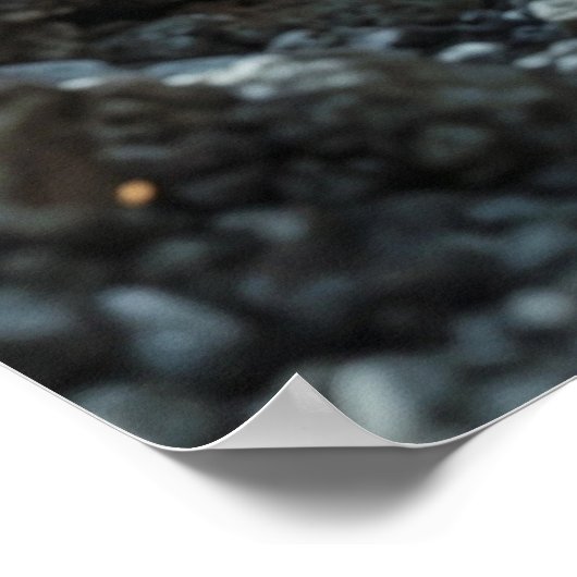 Poster de l'astronaute (Coin)