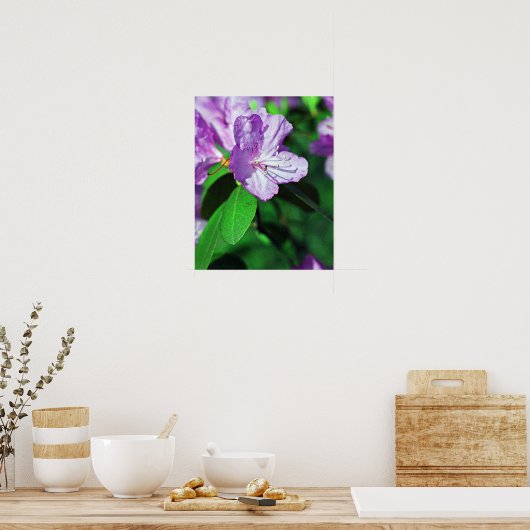 Poster de Lavande II (Cuisine)