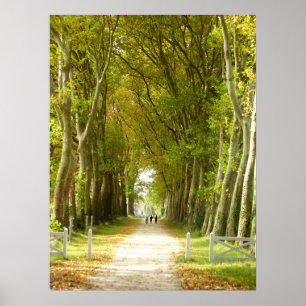 Poster de l'avenue des Arbres