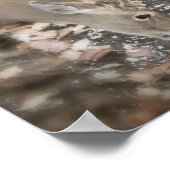 Poster de l'eau vive (Coin)