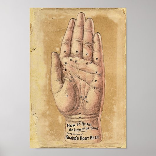 Poster de lecture Palm (Devant)