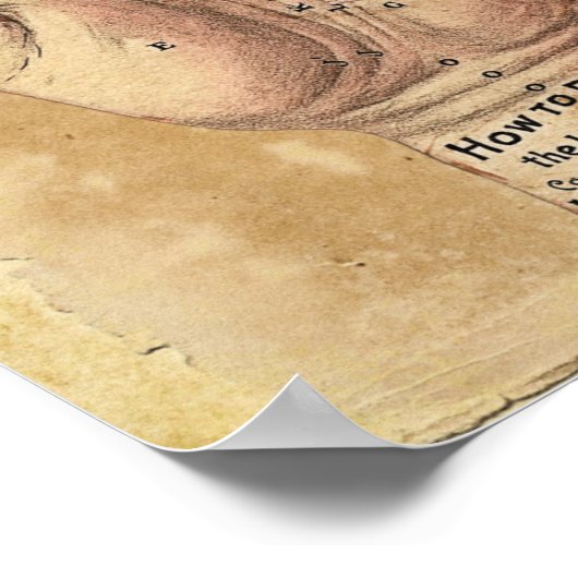 Poster de lecture Palm (Coin)