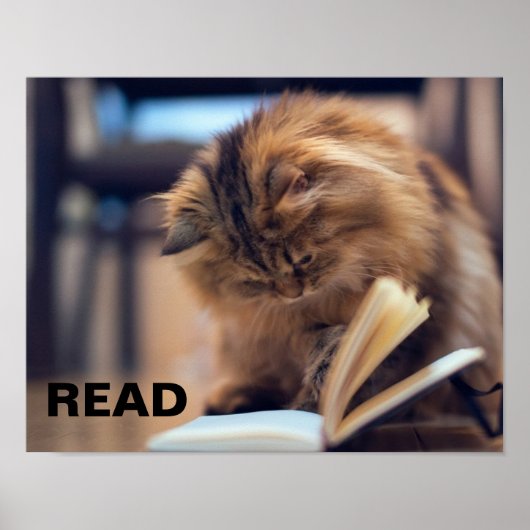 Poster de lecture pour soutenir l'alphabétisation  (Devant)