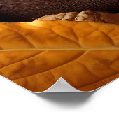 Poster de l'écureuil couchant (Coin)