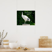 Poster De L'Emballage De Poulets (Ibis) (Cuisine)