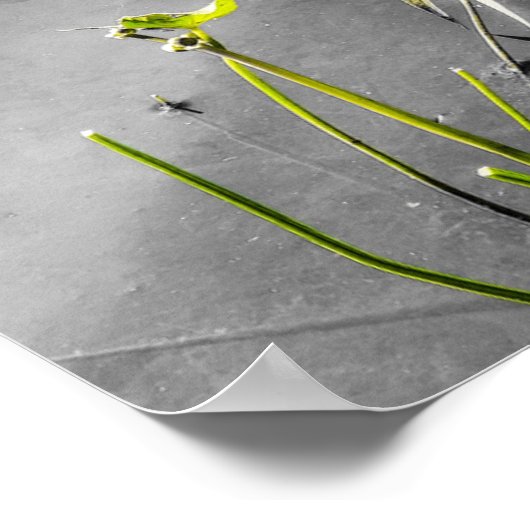 Poster de l'enfance oubliée (Coin)