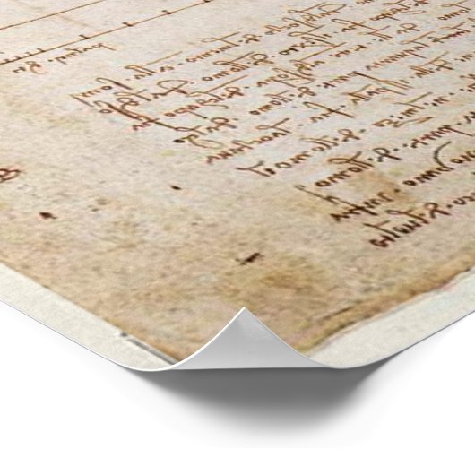 Poster de Leonardo da Vinci Vitruvian (Coin)