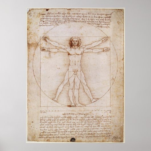 Poster de Leonardo da Vinci Vitruvian (Devant)