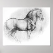 Poster de Leonardo DaVinci Horse (Devant)