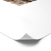 Poster de Léopard (Coin)