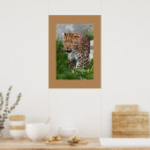 Poster de Léopard (Cuisine)