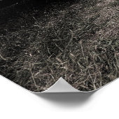 Poster de l'équipe ODSS (Coin)