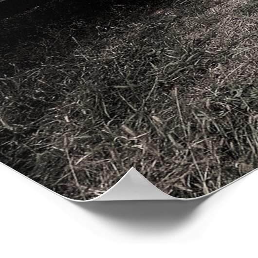 Poster de l'équipe ODSS (Coin)