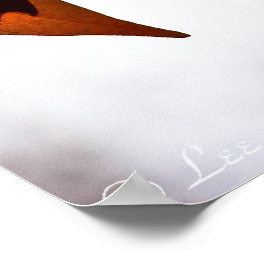 Poster de l'érable Feuille d'automne (Coin)