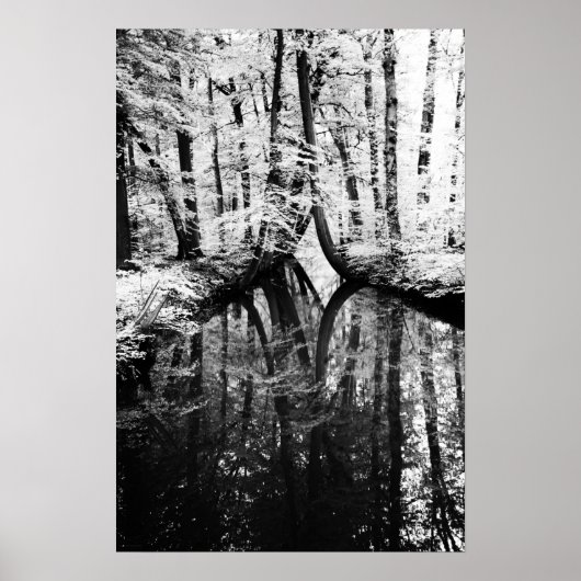 Poster de l'escadre de contraste reflet (Devant)