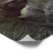 Poster de l'Escalade arborescente (Coin)