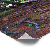 Poster de l'escalier de la nature (Coin)