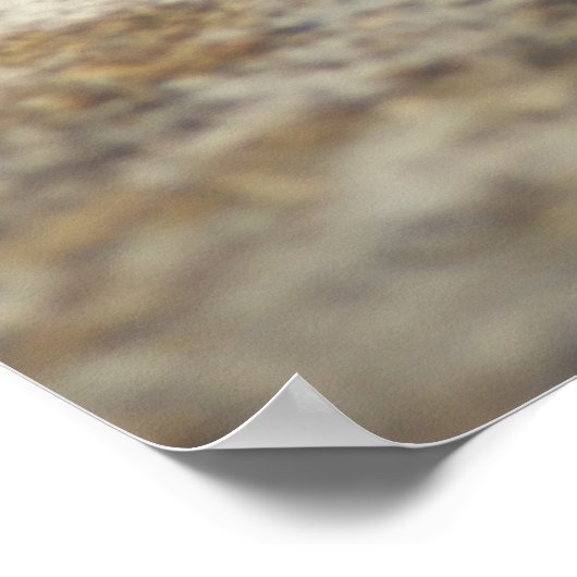 Poster de l'escargot romain (Coin)