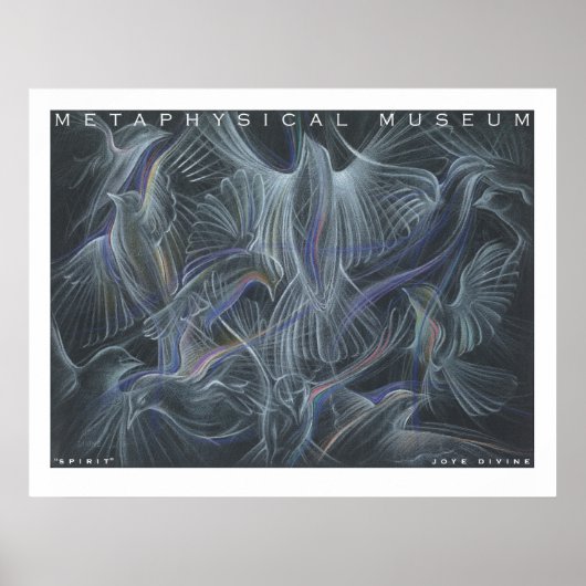 Poster de l'esprit du musée métaphysique (Devant)