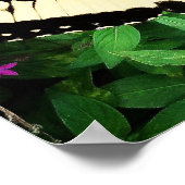 Poster de l'estampille de l'escargot de tigre de l (Coin)