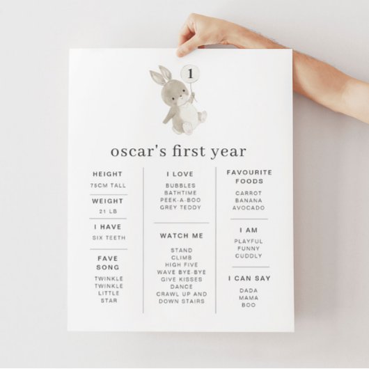 Poster de l'étape du ballon de lapin