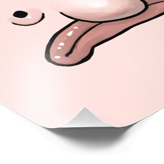 Poster de l'évolution de la lotte (Coin)