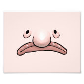 Poster de l'évolution de la lotte (Devant)