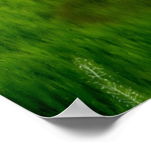 Poster de l'expérience Alien du mouton (Coin)