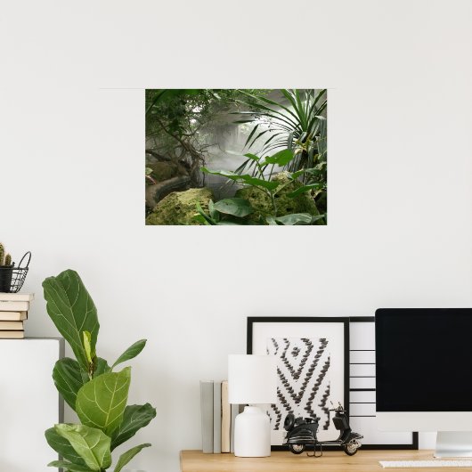 Poster de l'exposition Zoo Rainforest (Bureau à domicile)