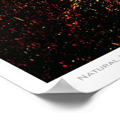 Poster de l'expressionnisme naturel (Coin)