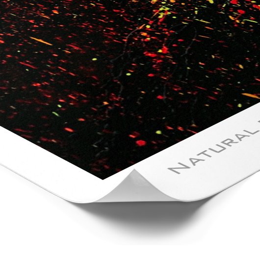 Poster de l'expressionnisme naturel (Coin)