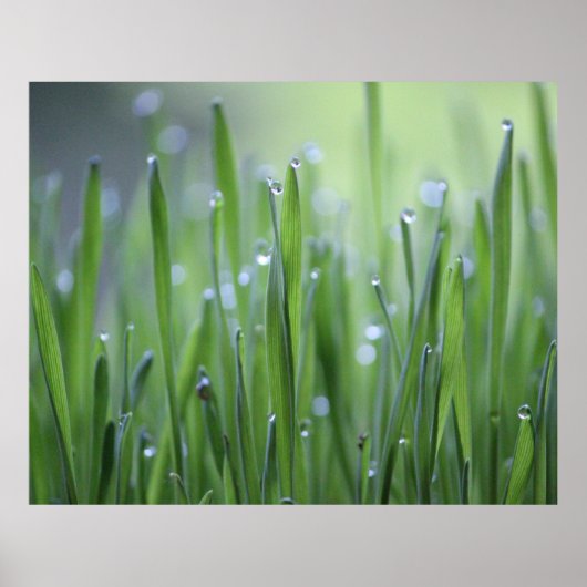 Poster de l'herbe avec droplets à mâcher (Devant)