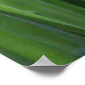 Poster de l'herbe avec droplets à mâcher (Coin)