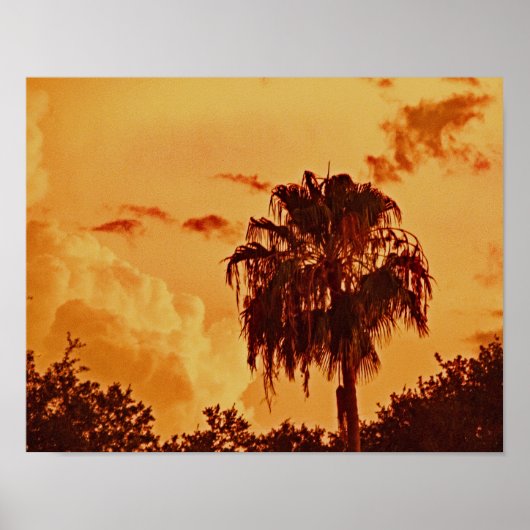 Poster de l'heure d'or Palm Tree (Devant)