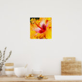 Poster de l'Hibiscus d'Orange (Cuisine)