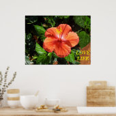 Poster de l'Hibiscus d'Orange (Cuisine)