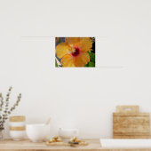 Poster de l'Hibiscus en fleurs (Cuisine)