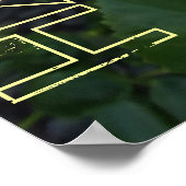 Poster de l'hibiscus Hawaii (Coin)