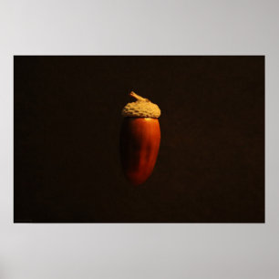 Poster de l'hippodrome de Mighty Oak