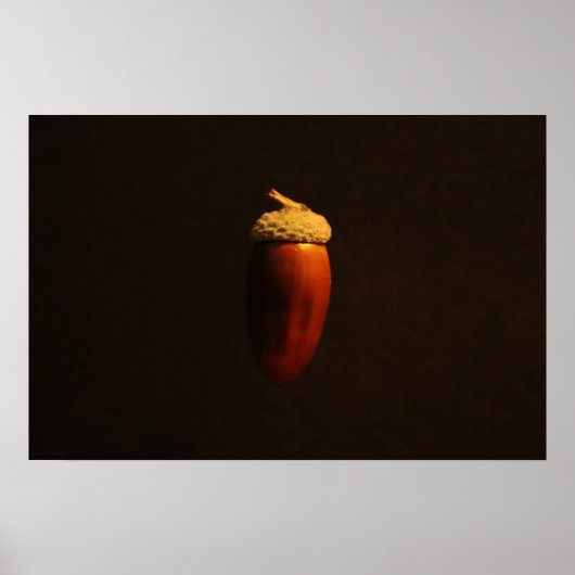 Poster de l'hippodrome de Mighty Oak (Devant)