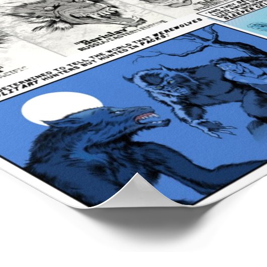 Poster de l'histoire du WC (Coin)