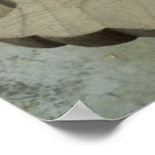 Poster de l'histoire Gourd - Cou (Coin)