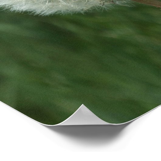 Poster de l'horloge de Dandelion (Coin)